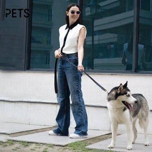 How to Care for High-Quality Leather Dog Leashes & Collars: The Expert Guide