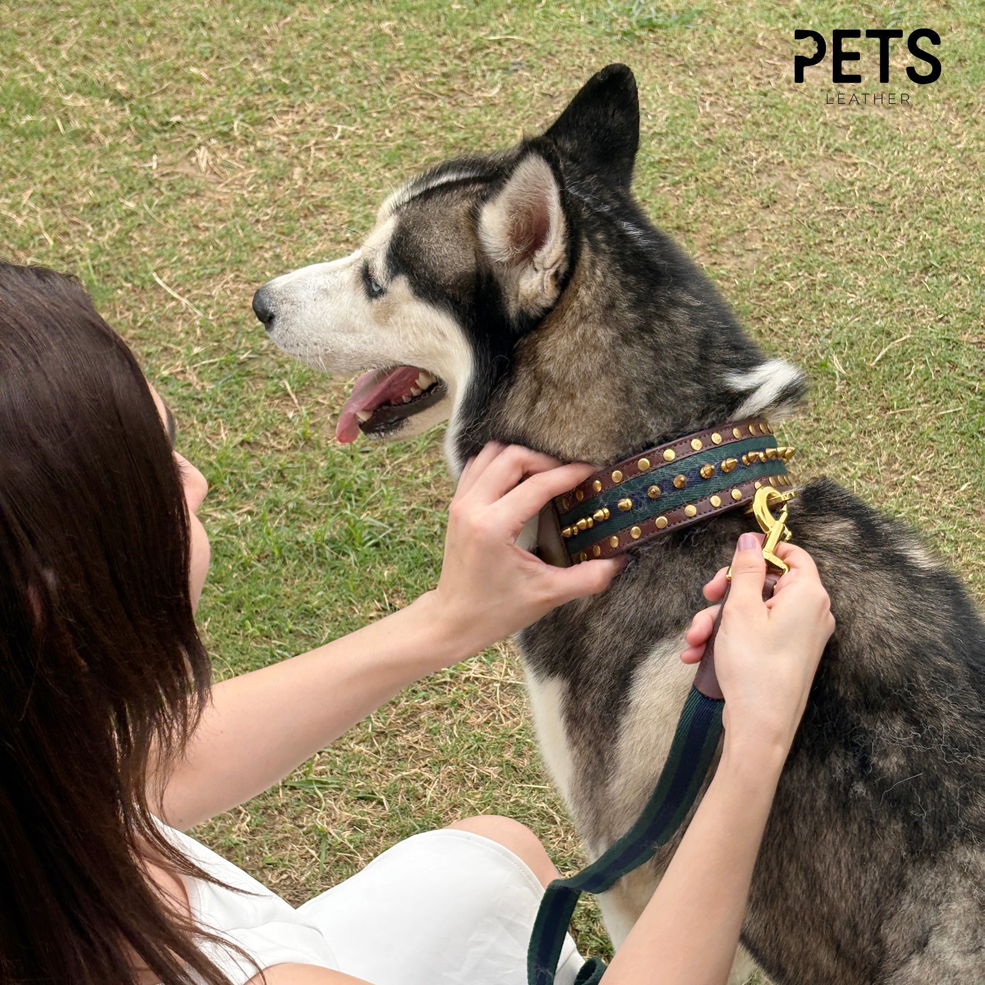 Why Matching Collars and Leashes Elevate Your Dog’s Style