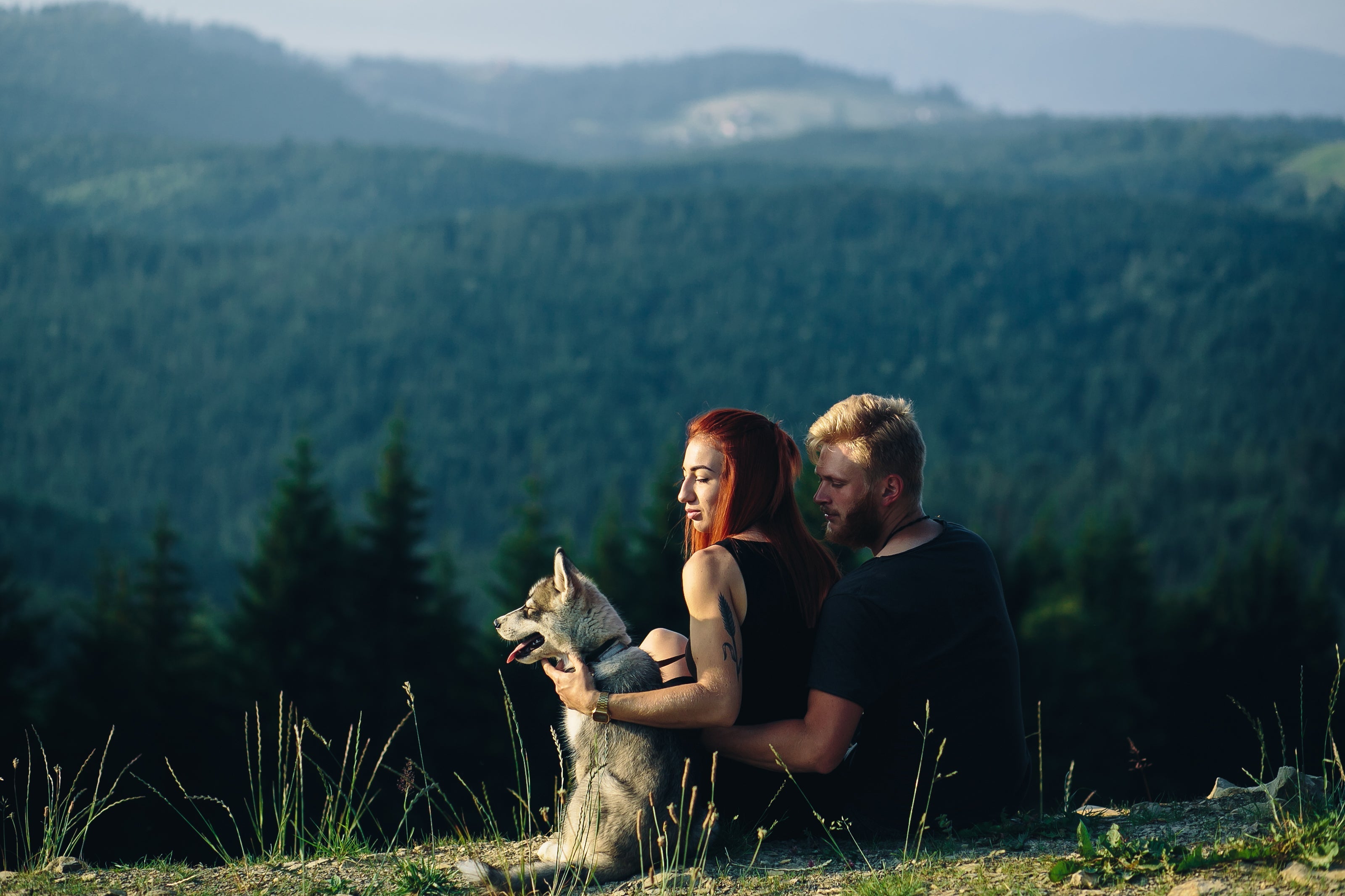 Best Places To Take Photos Of Your Dog In The Rocky Mountains