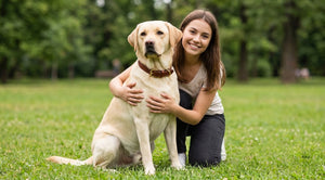 Best Leather Dog Collar for Large Dogs