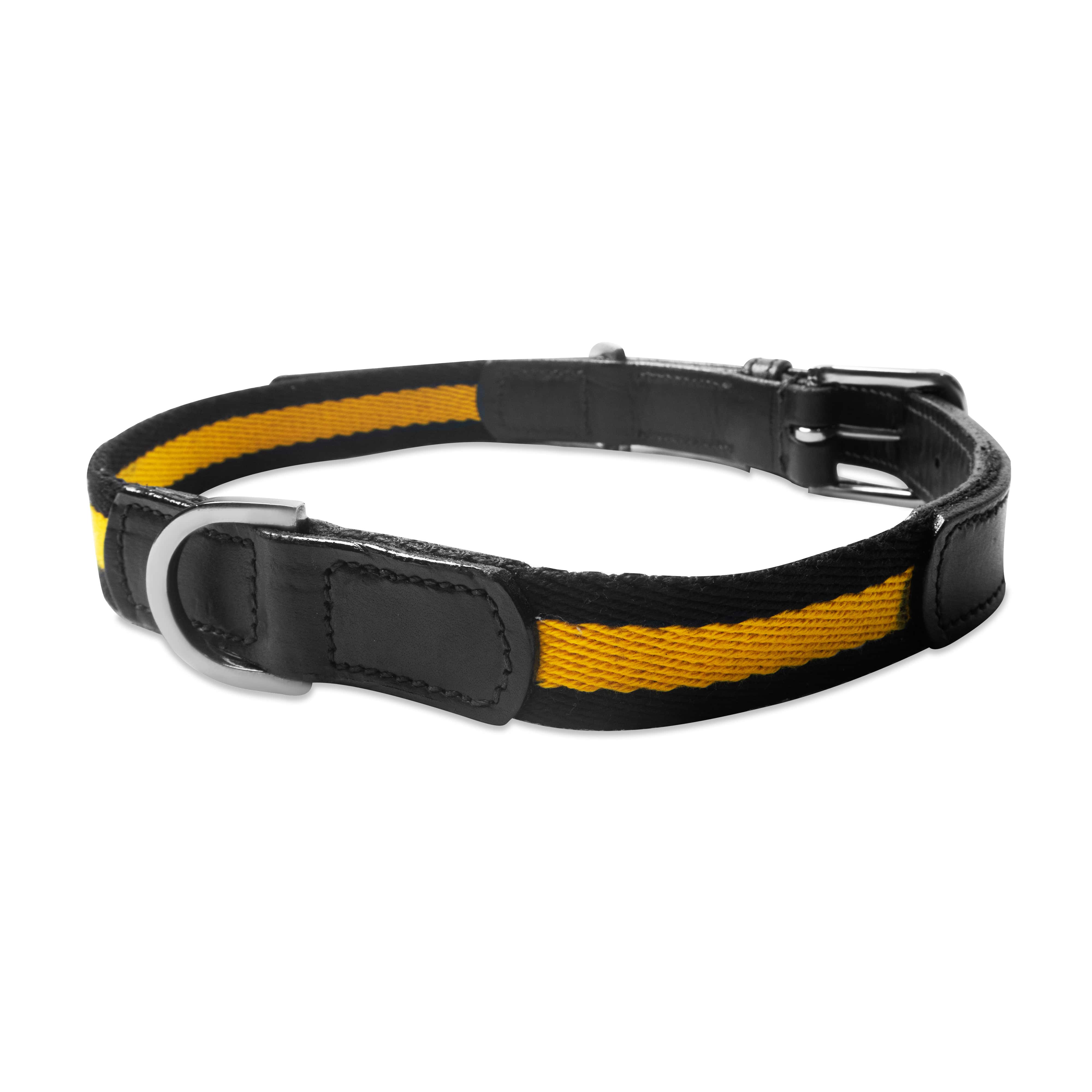 Black and yellow dog collar on a white background