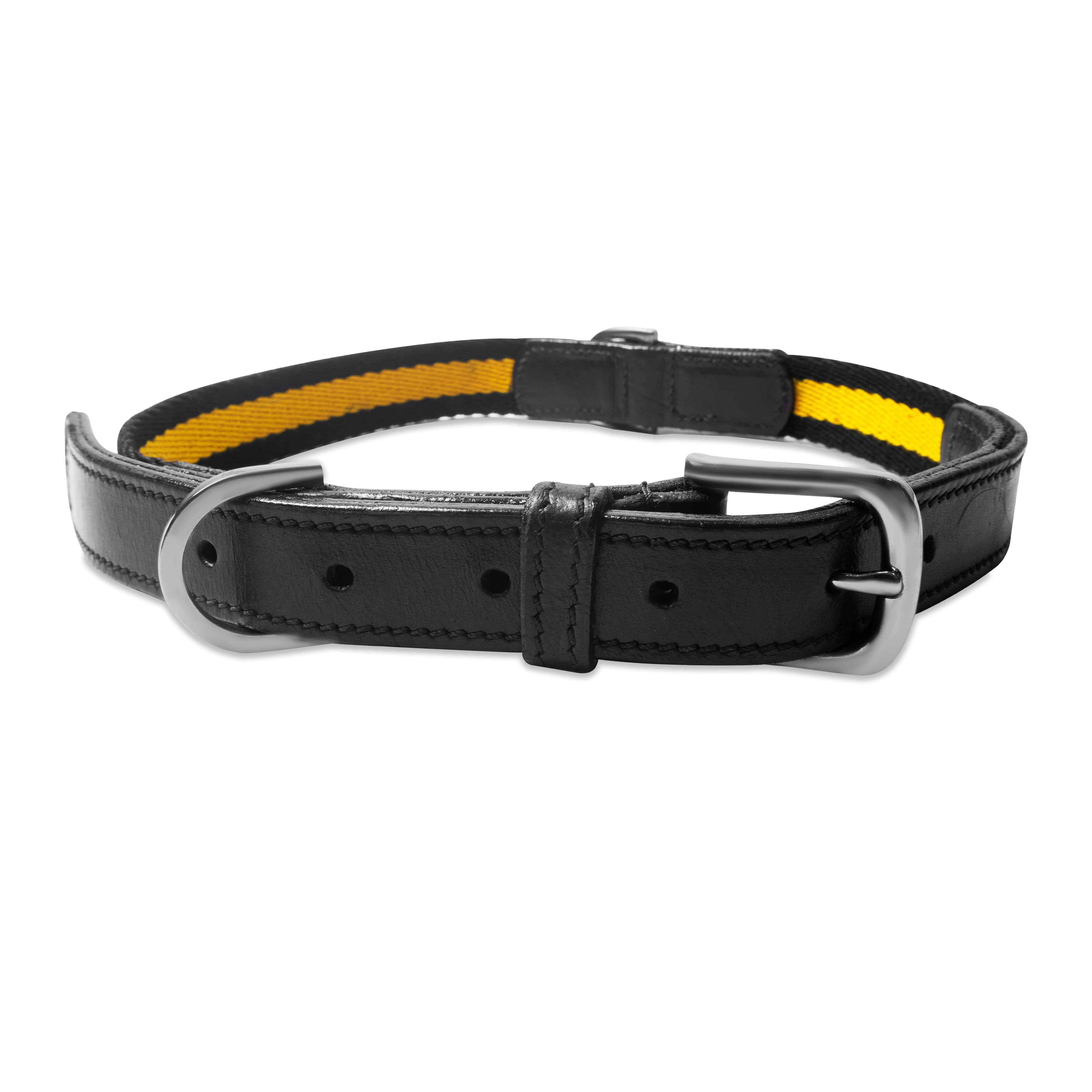 Black leather dog collar with yellow accents on a white background