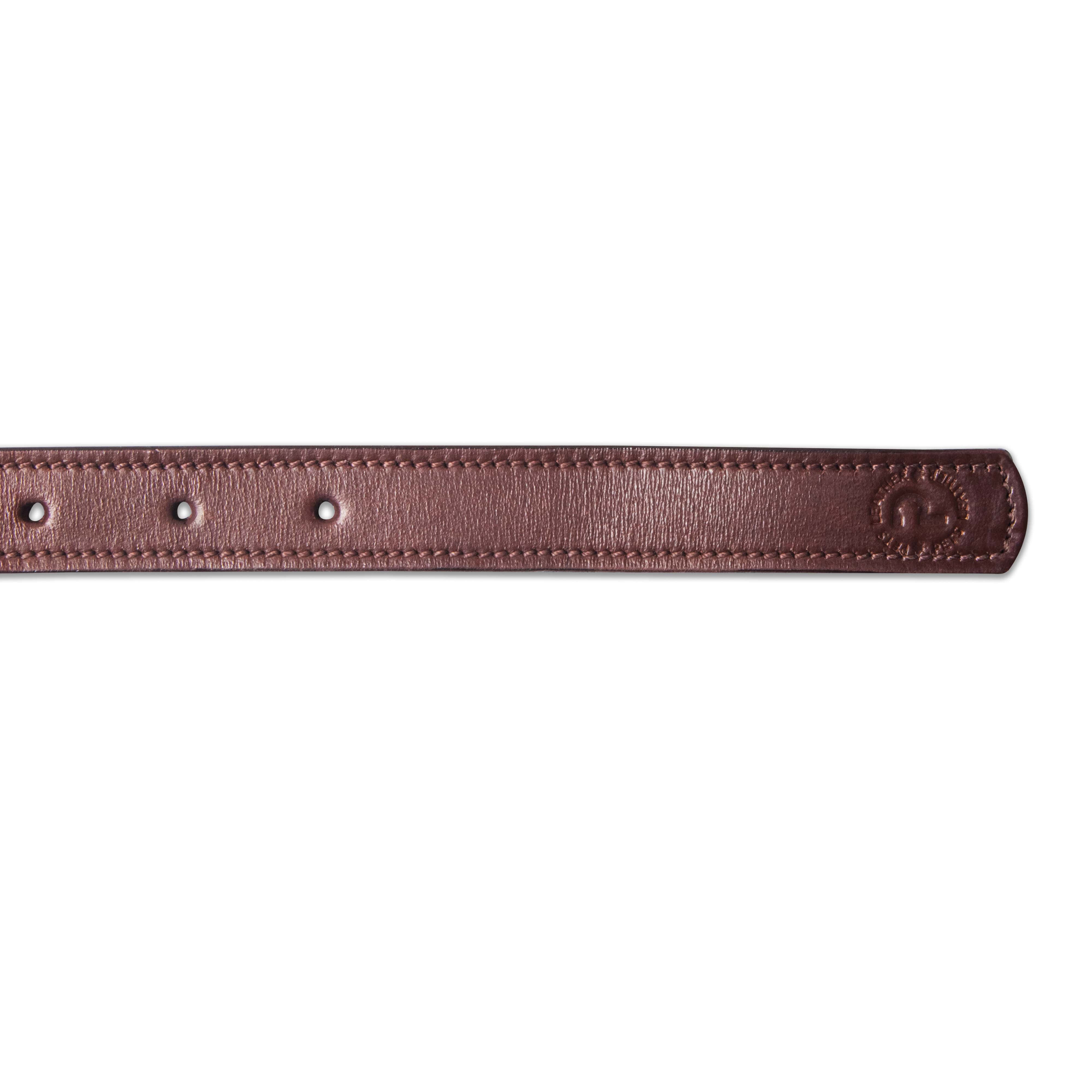 Brown dog leather leashes