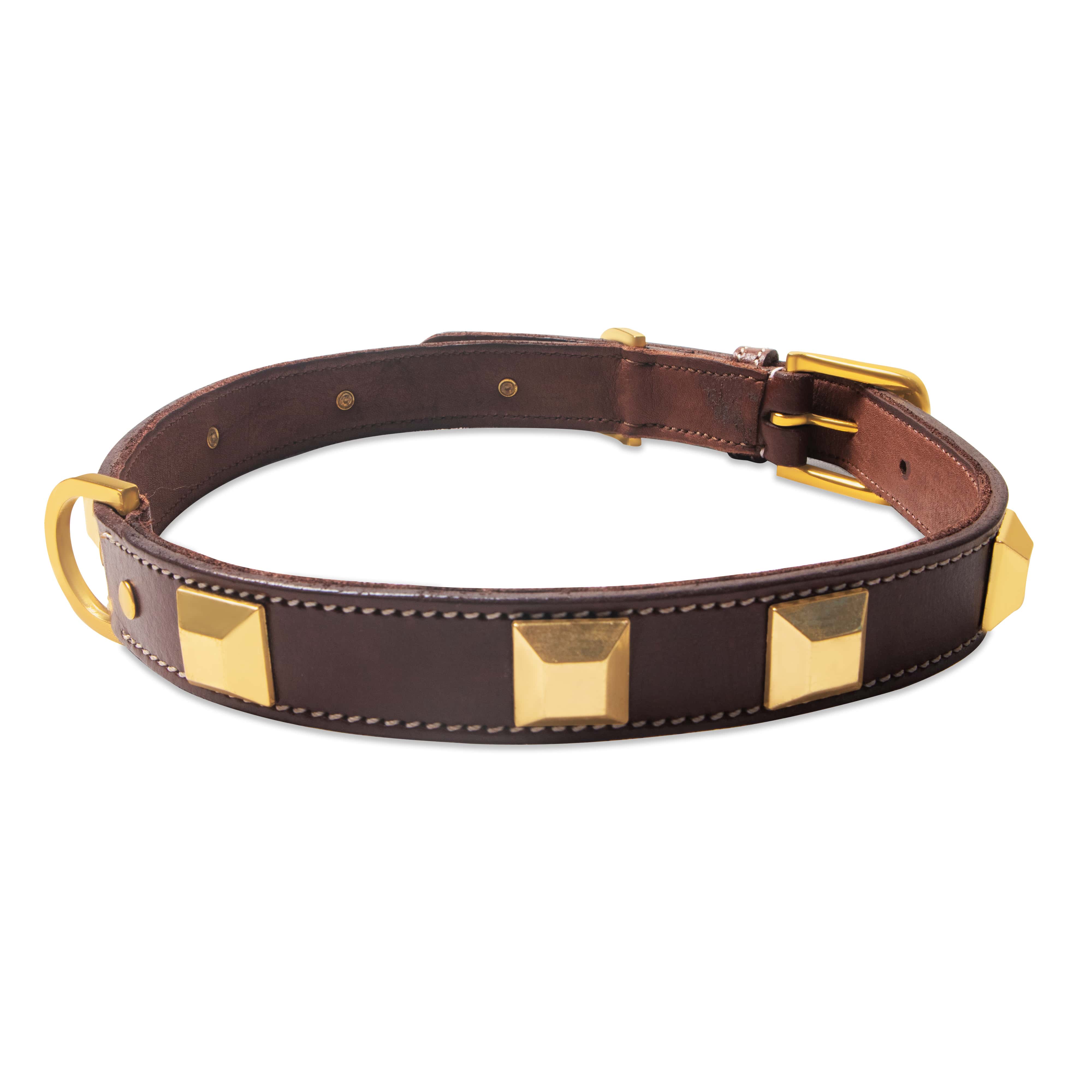 Brown leather dog collar with gold accents on a white background