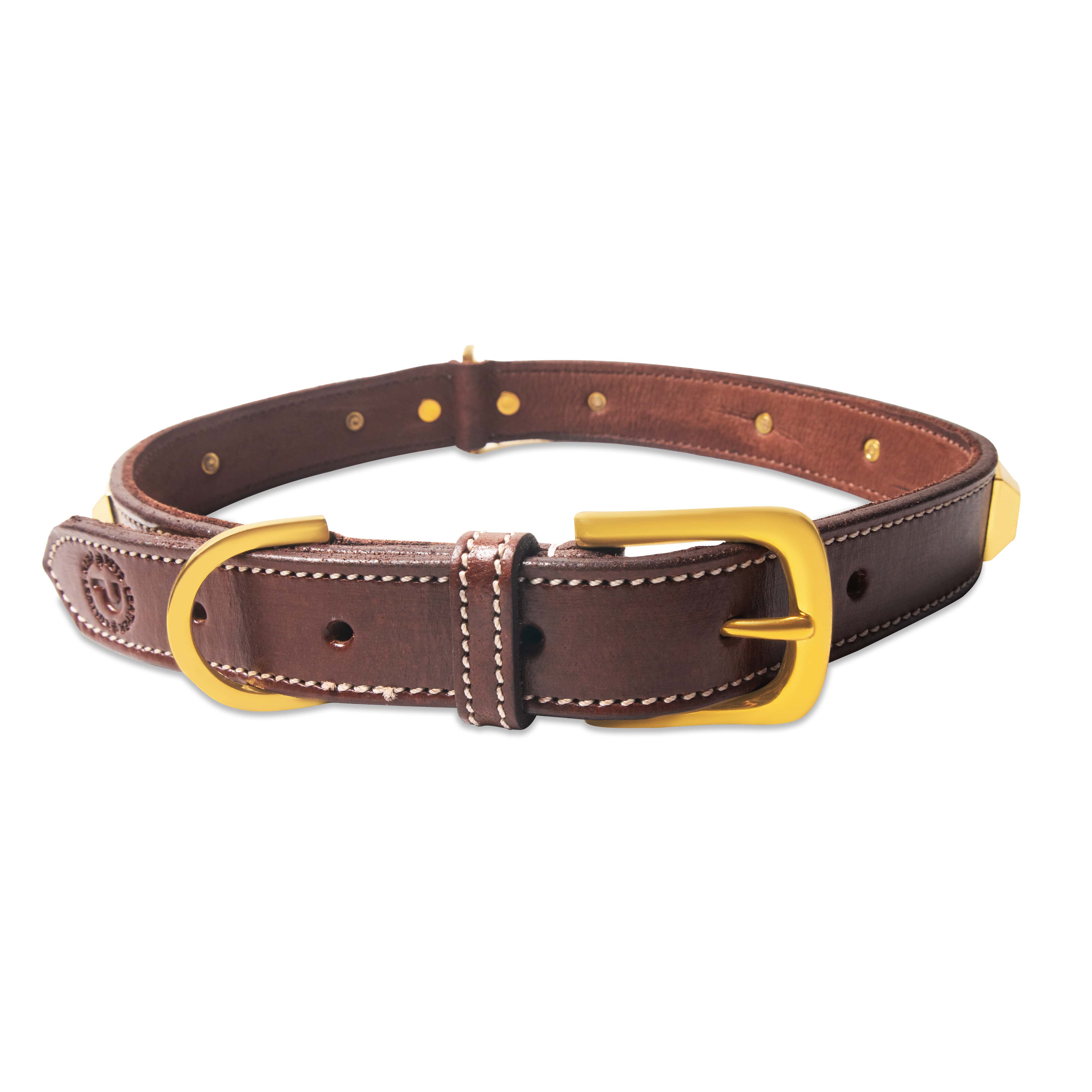 Brown leather dog collar with yellow buckle on a white background