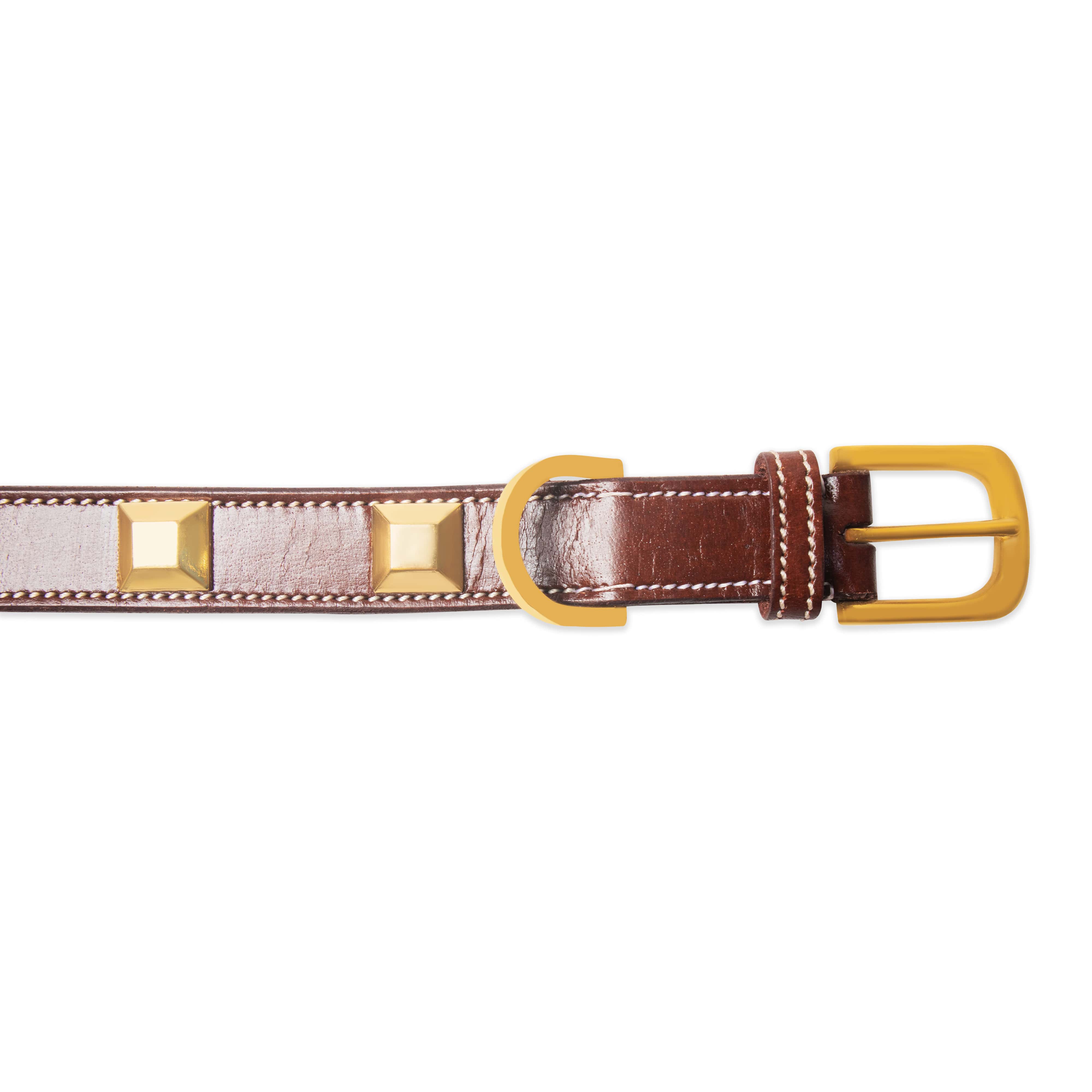 Dog collar with gold buckle and studded design on a white background