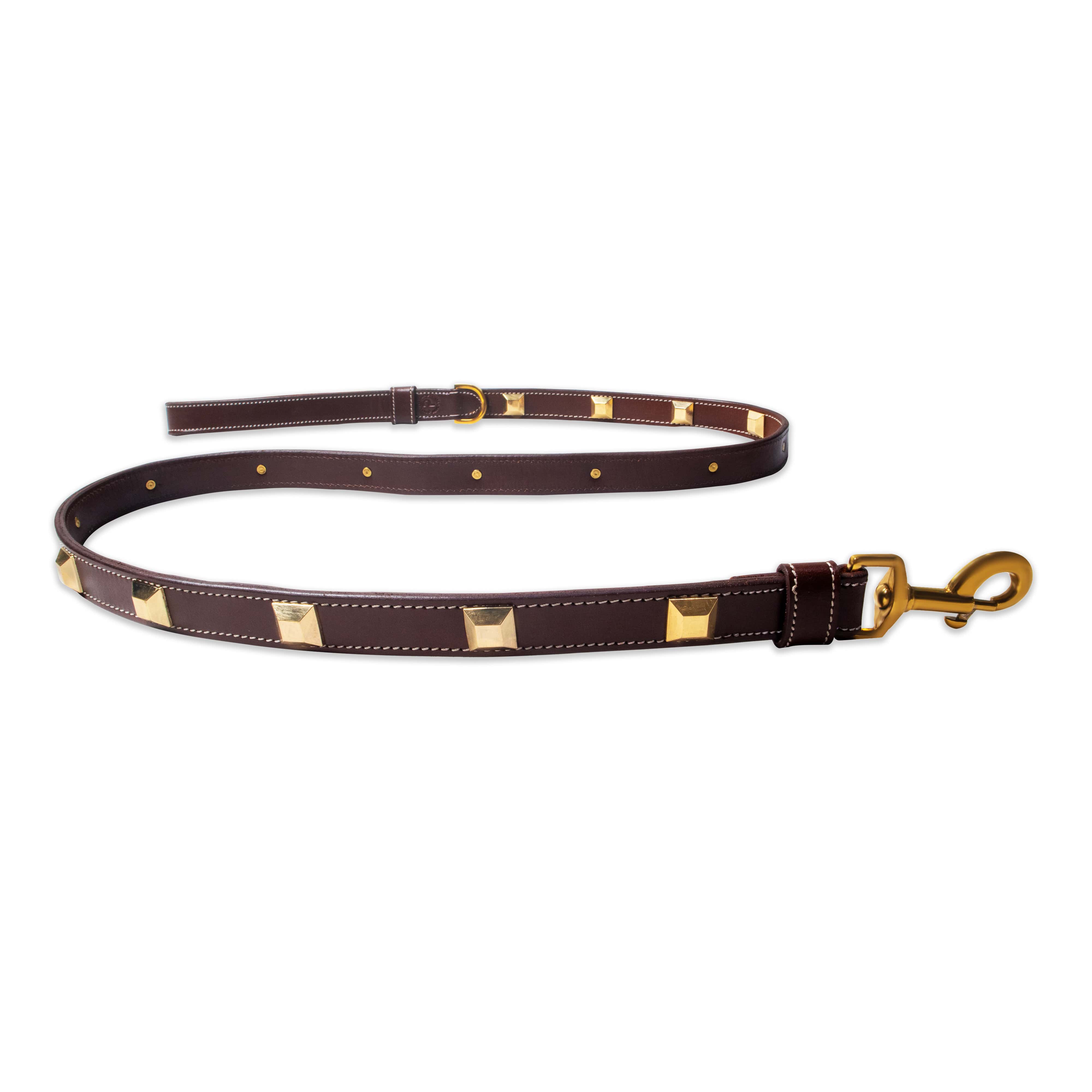 Brown leather dog leash with gold hardware on a white background