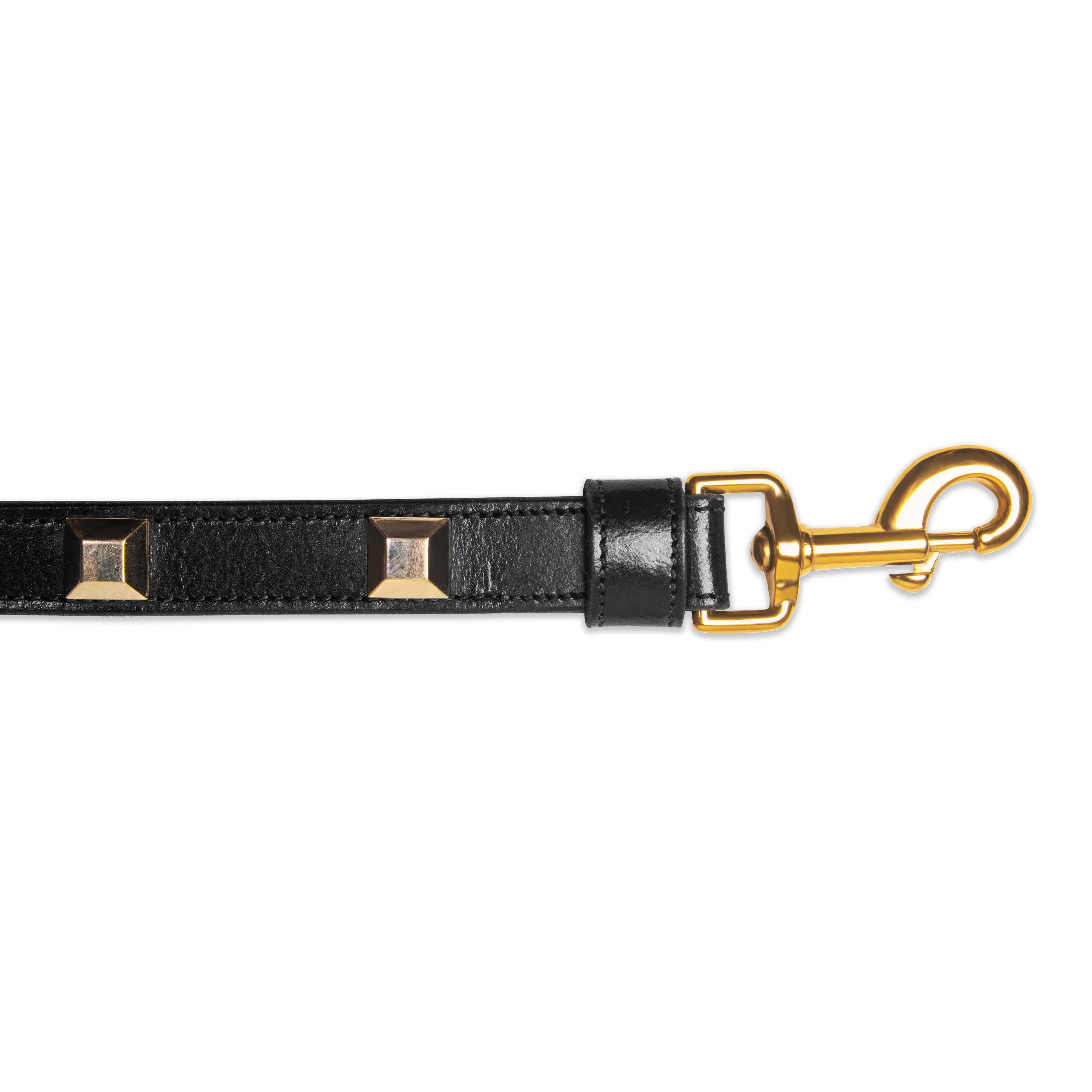 Black leather dog leash with gold hardware on a white background