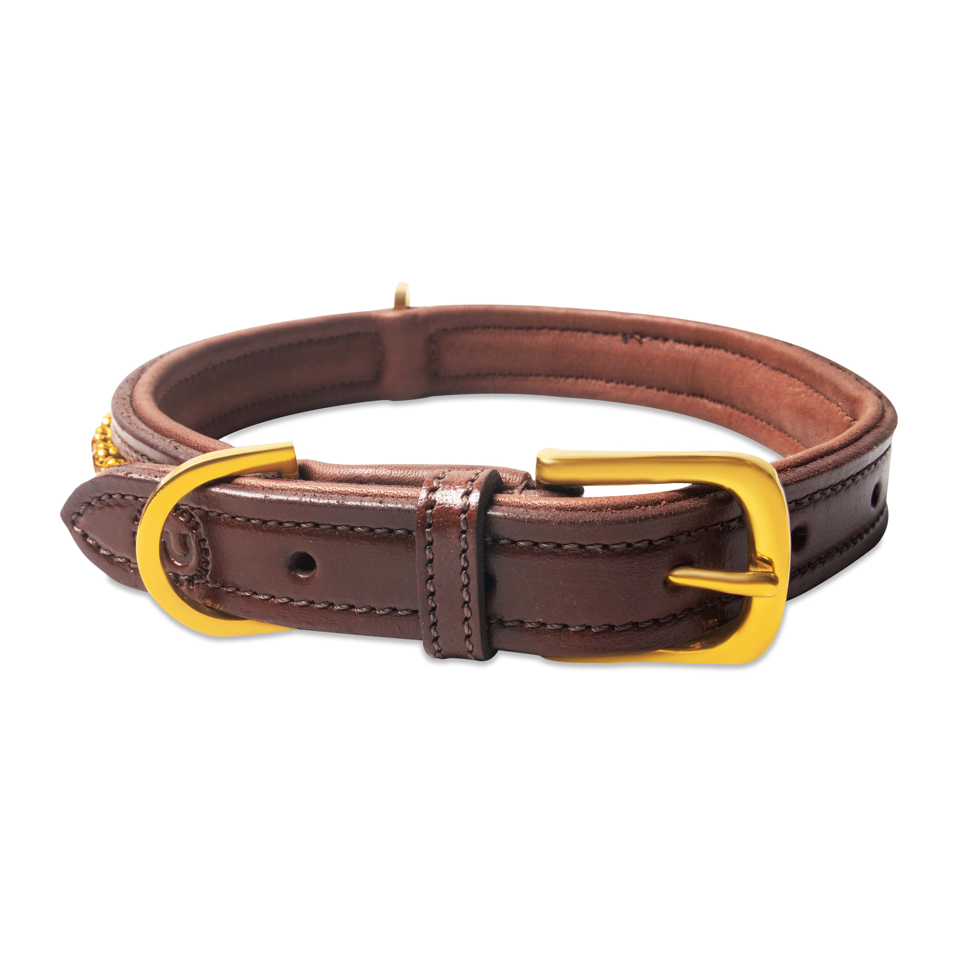 Brown leather dog collar with a gold buckle on a white background