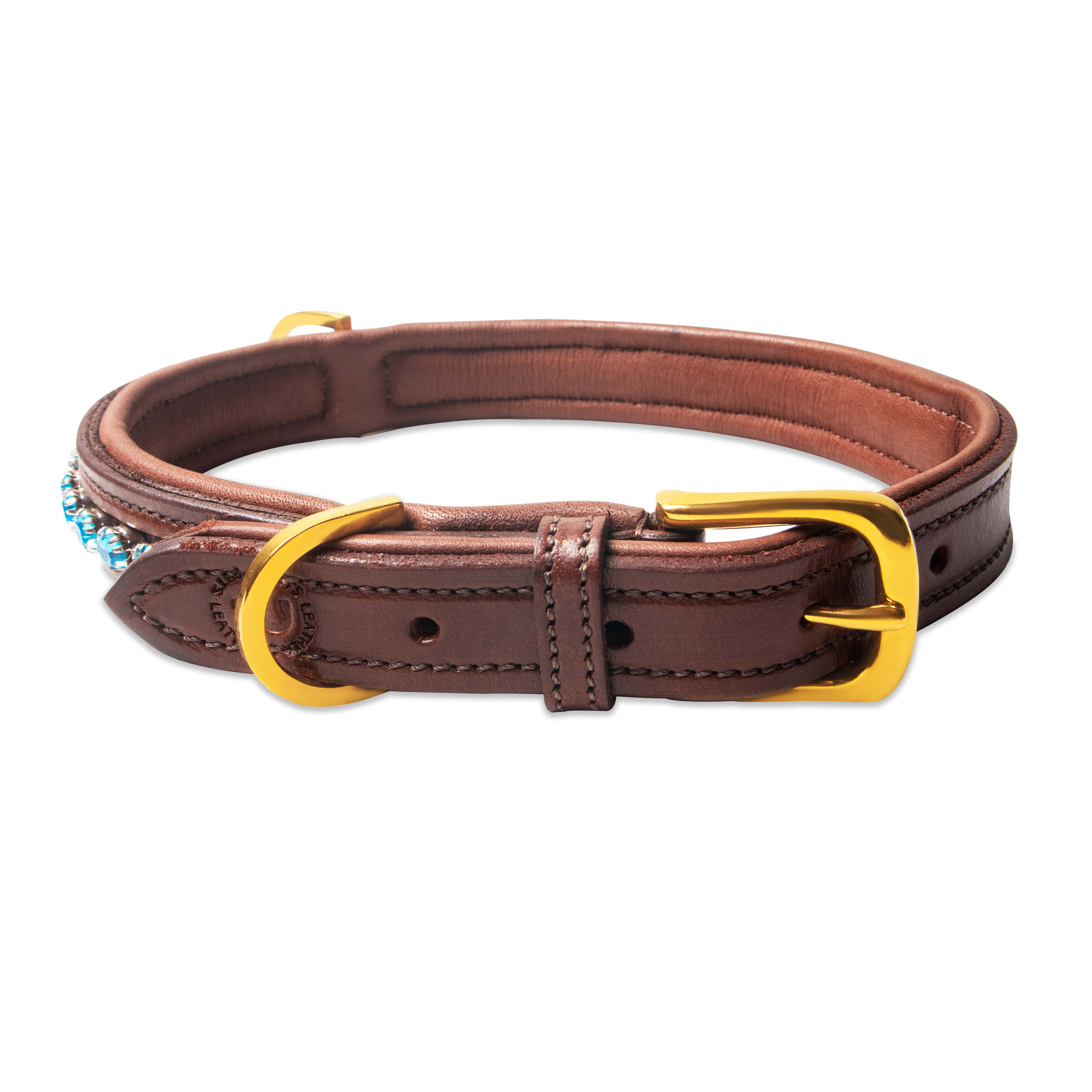 Brown leather dog collar with gold buckle on a white background