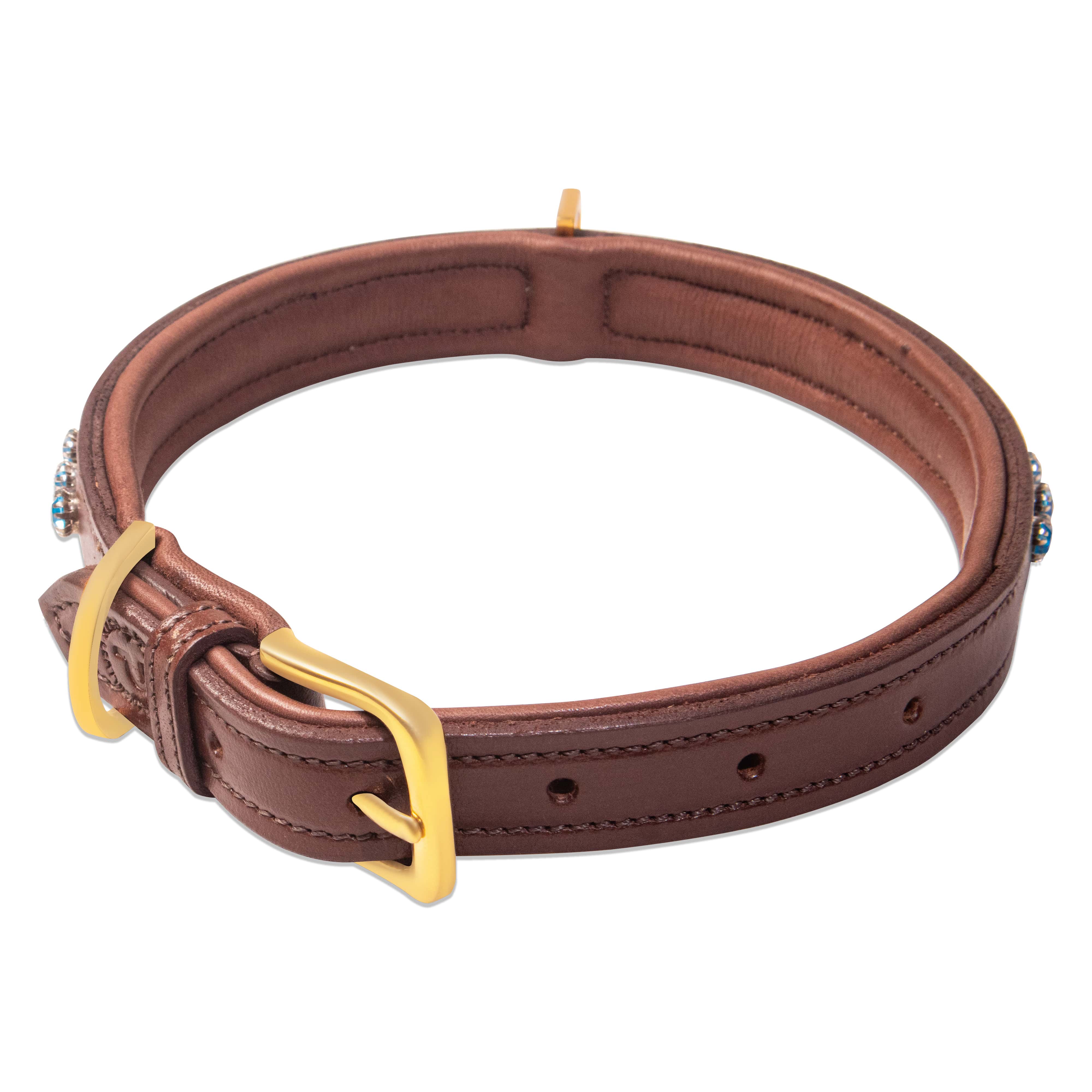 Brown leather dog collar with gold buckle on a white background
