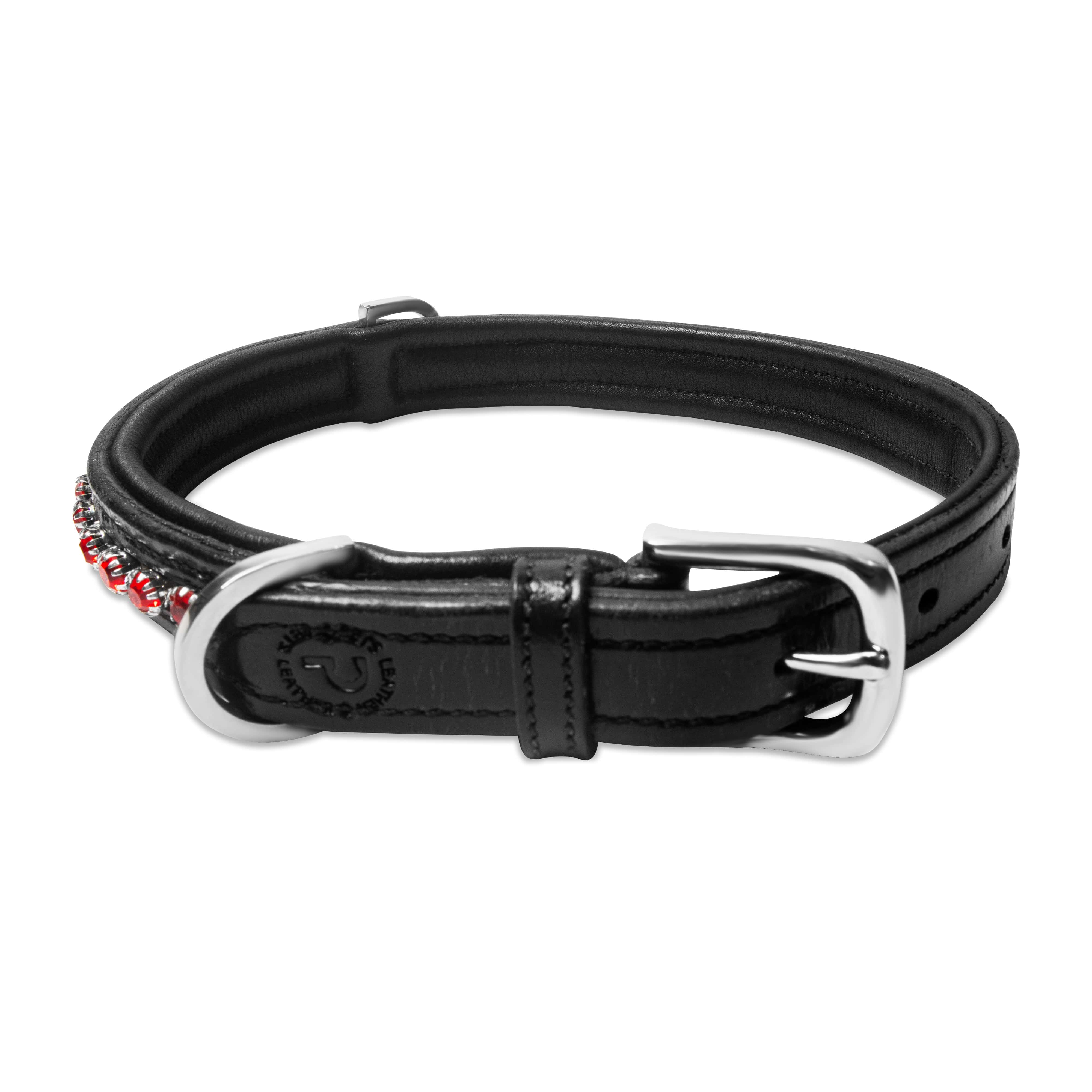 Black leather dog collar with a silver buckle on a white background