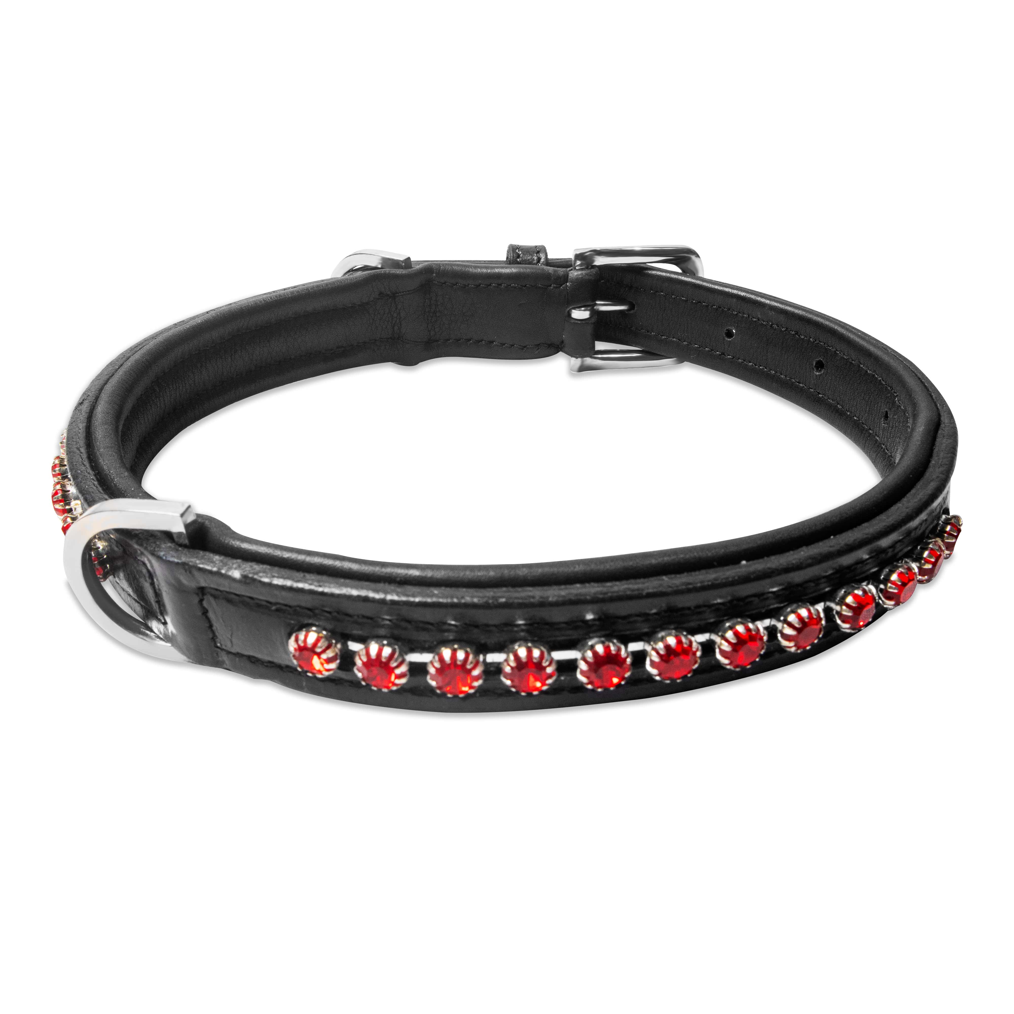 Black leather dog collar with red gemstones on a white background