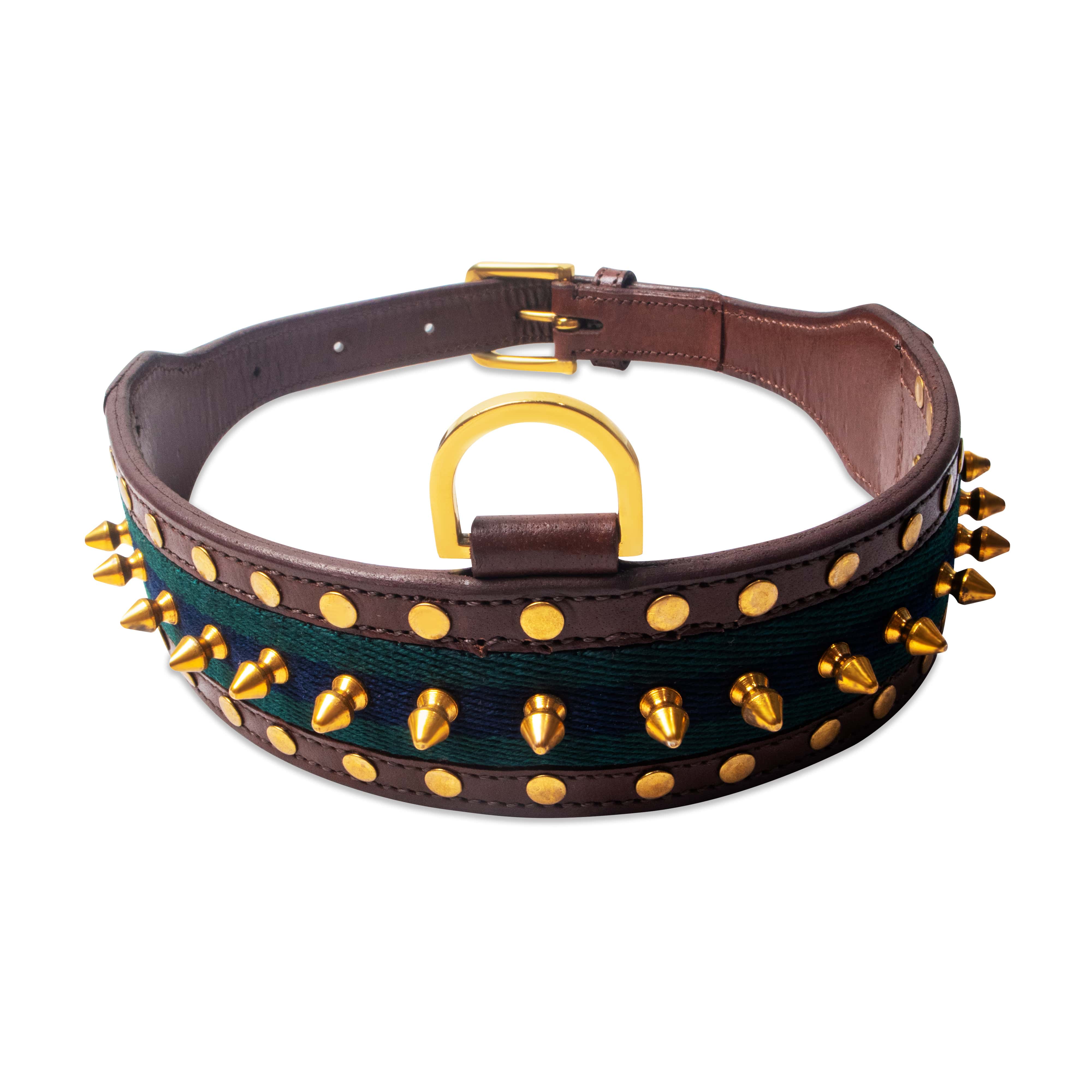 Dog collar with gold spikes and studs on a white background