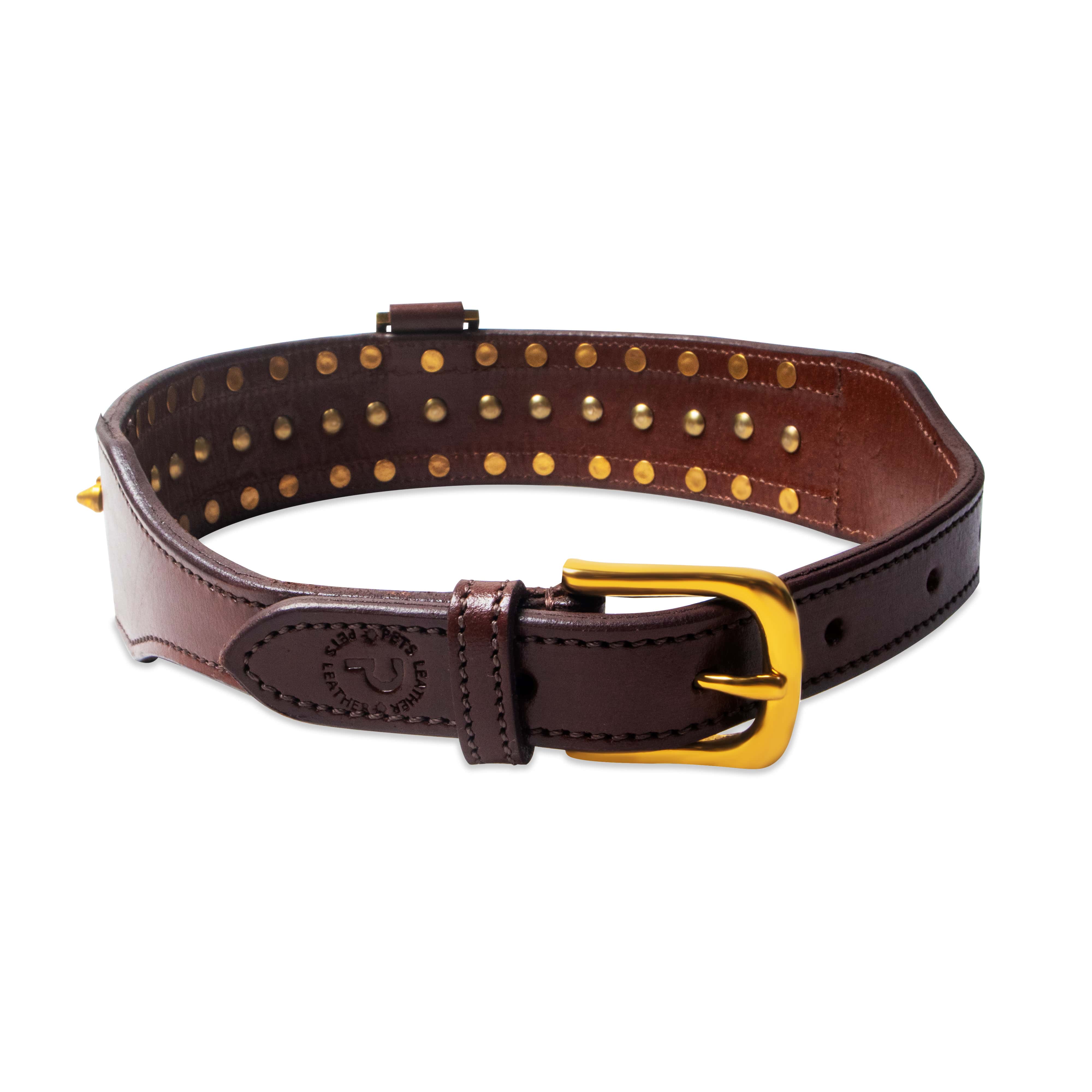 Brown leather dog collar with gold studs and buckle on a white background