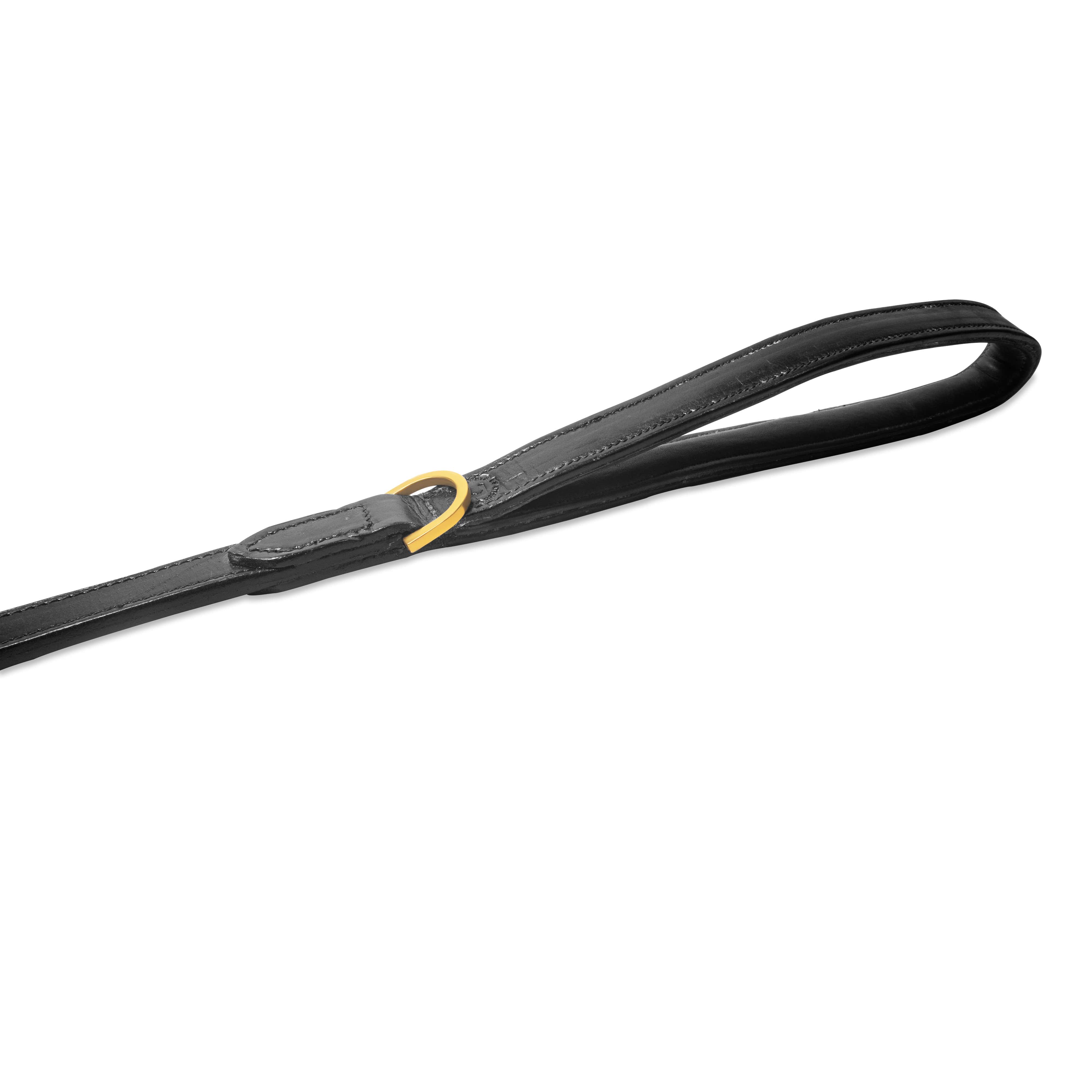Black dog leash with a yellow clip on a white background