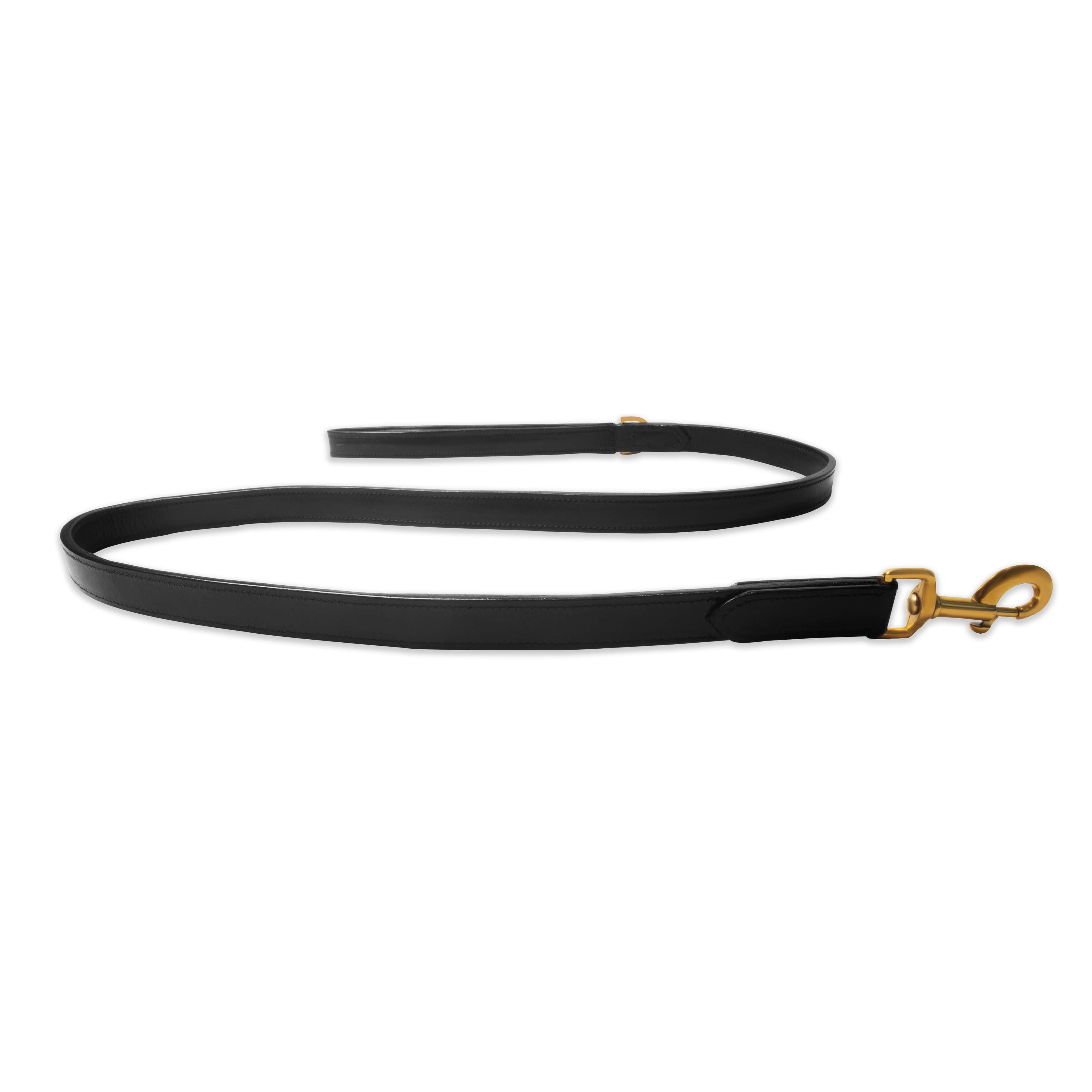 Black dog leash with gold clasp on a white background