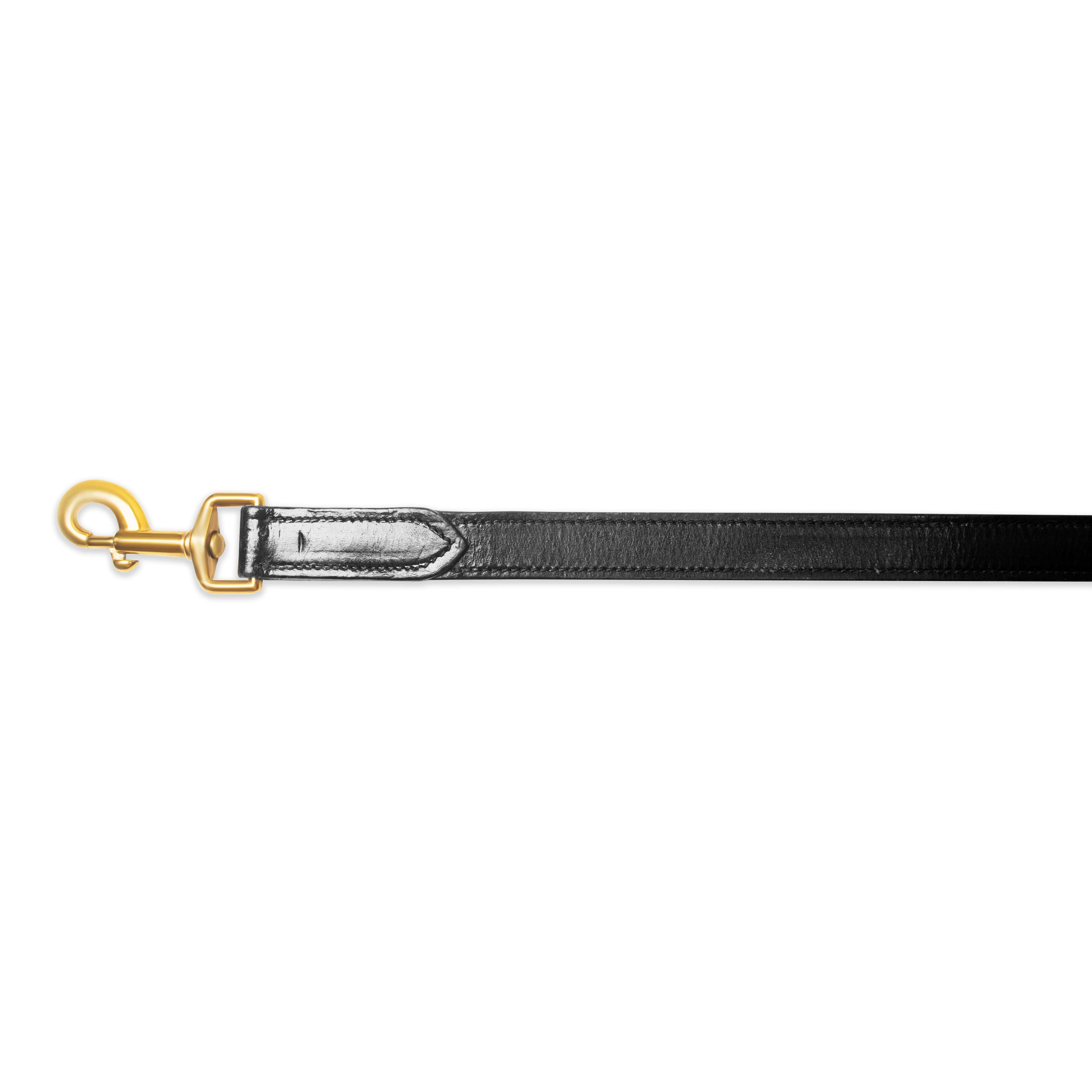 Black leather dog leash with gold clasp on a white background