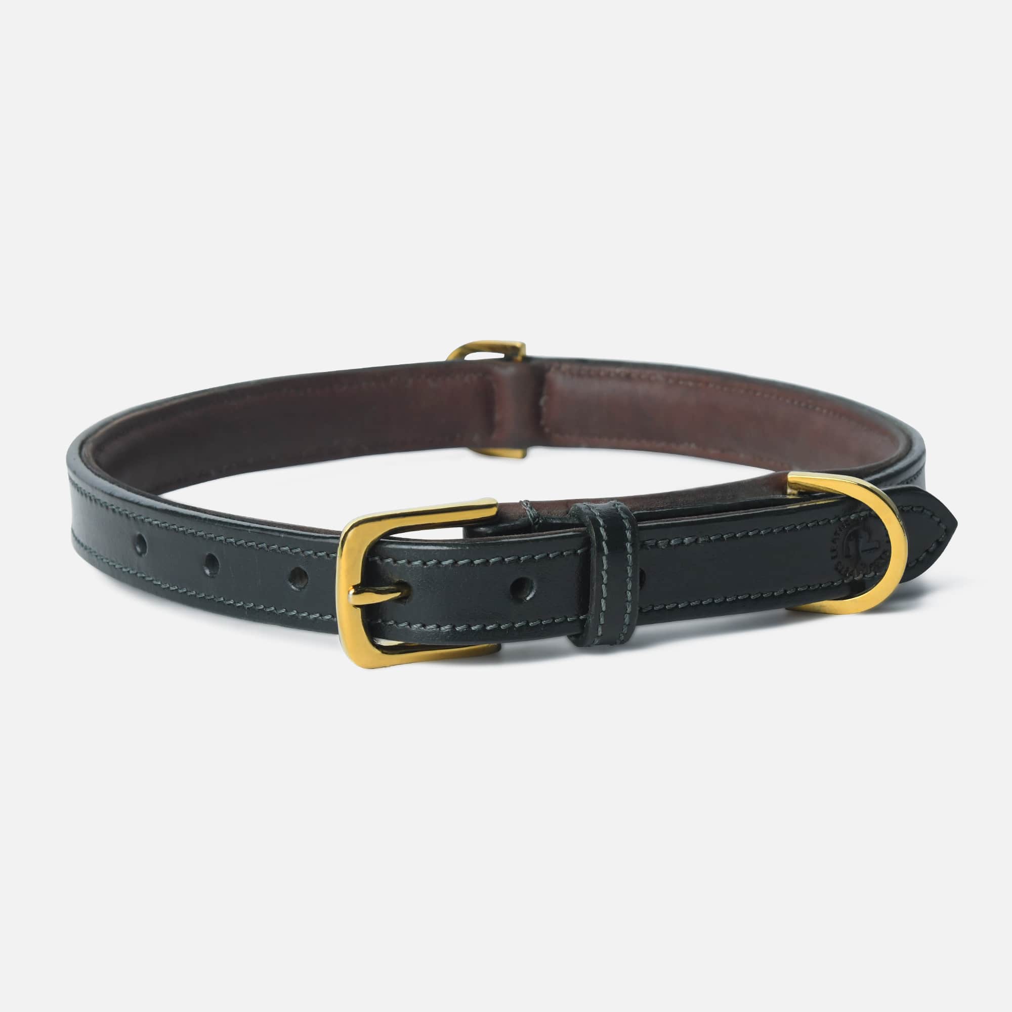 Black leather dog collar with gold hardware on a white background
