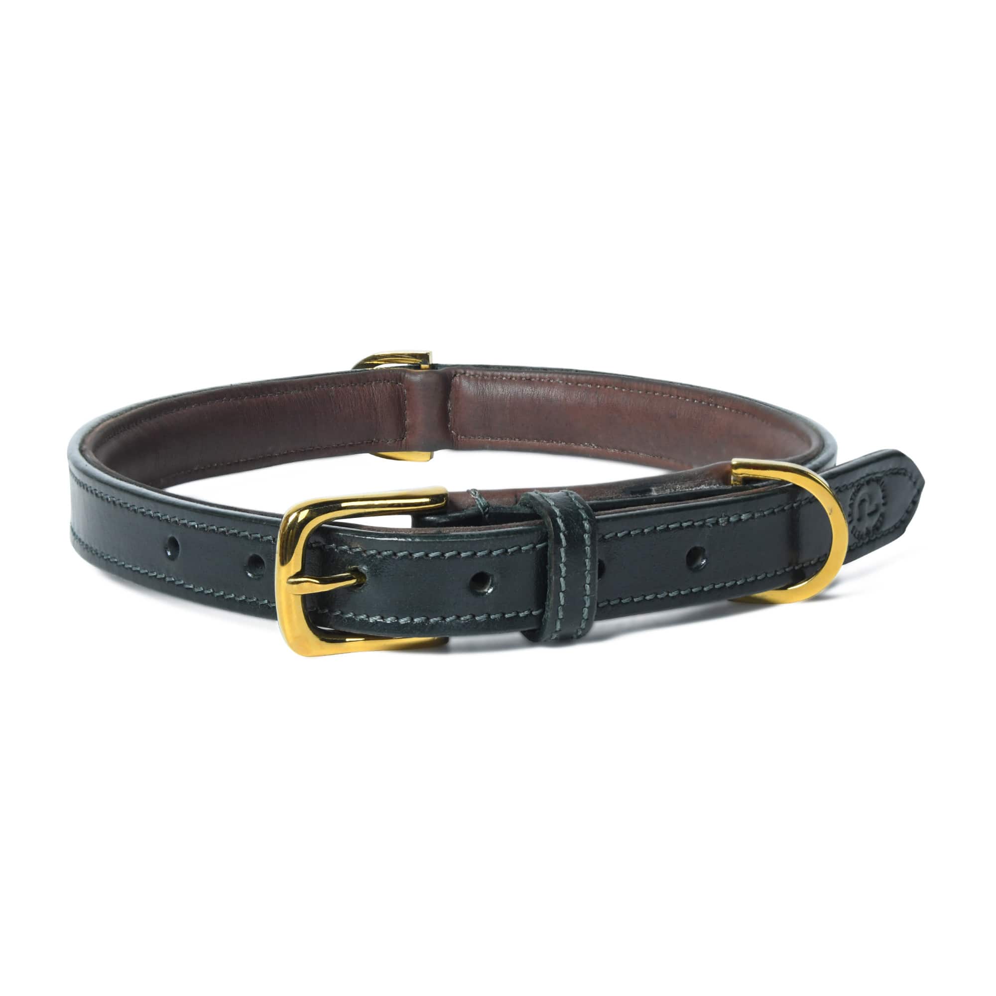 Black leather dog collar with gold buckle on a white background